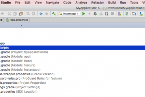 android instant app basic structure