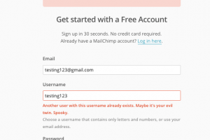 mailchimp signup page microcopy personality