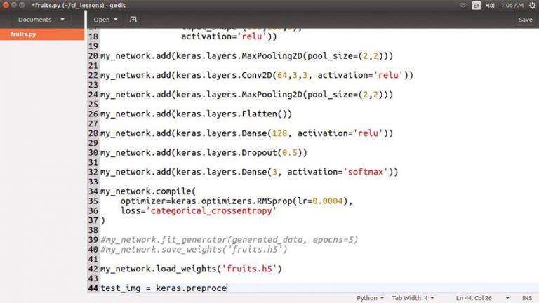 Training and Using a Convolutional Network