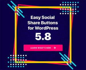 EasySocialShareButtonsforWordPresscopy