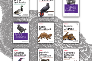 javaprogrammingmoreoreilly bundle newsletter grid