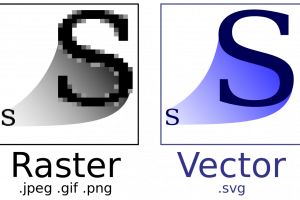 webp svg vs everyone  vector raster