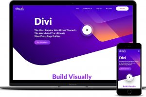 divi