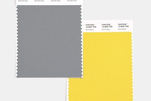 swcd tcx color of the year  ultimate gray illuminating