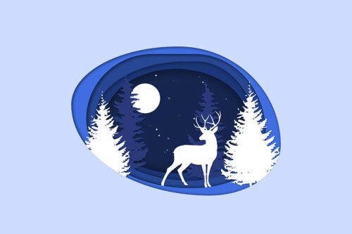 Example from 8 Virtual Winter Wonderlands Created with CSS & JavaScript