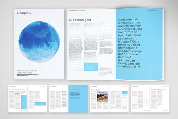 Corporate Reporting InDesign Template