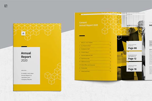 Annual Report InDesign Template