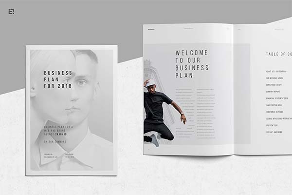 Business Plan InDesign Template