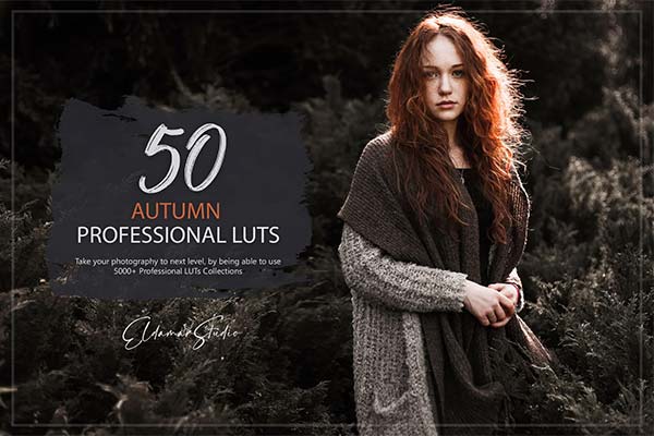 50 Autumn Forest LUTs Pack50 Autumn Forest LUTs Pack